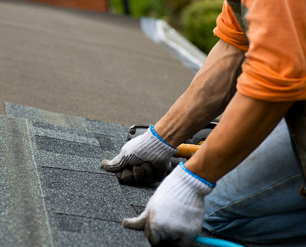 Best Metal Roofing Contractor  in Calumet Park, IL